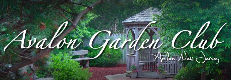 Things To Do Avalon Garden Club
